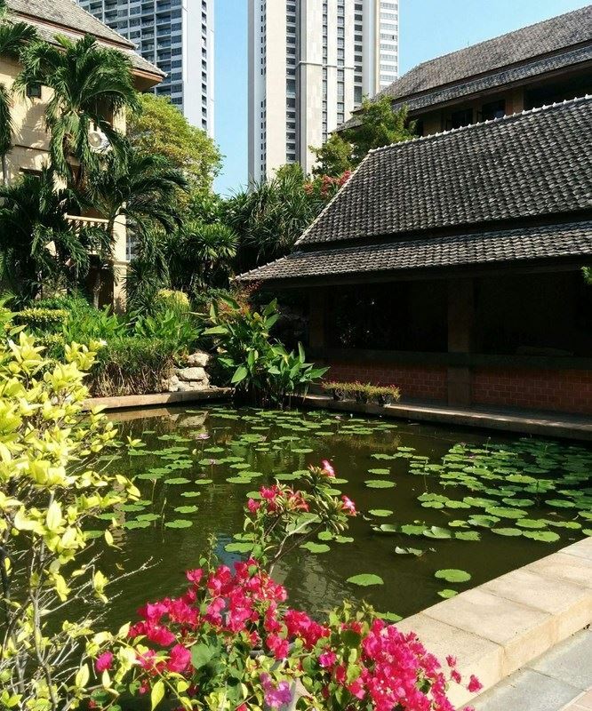 Картинка Plumeria Serviced Apartment 3*