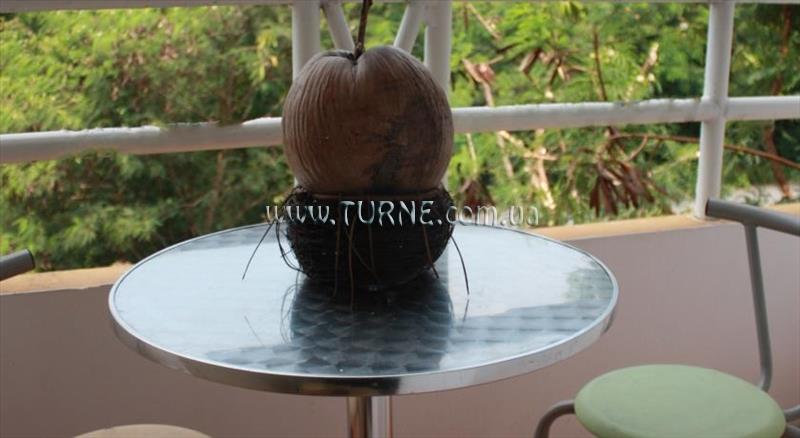 Фотографія Sugar Palm Palace 2*