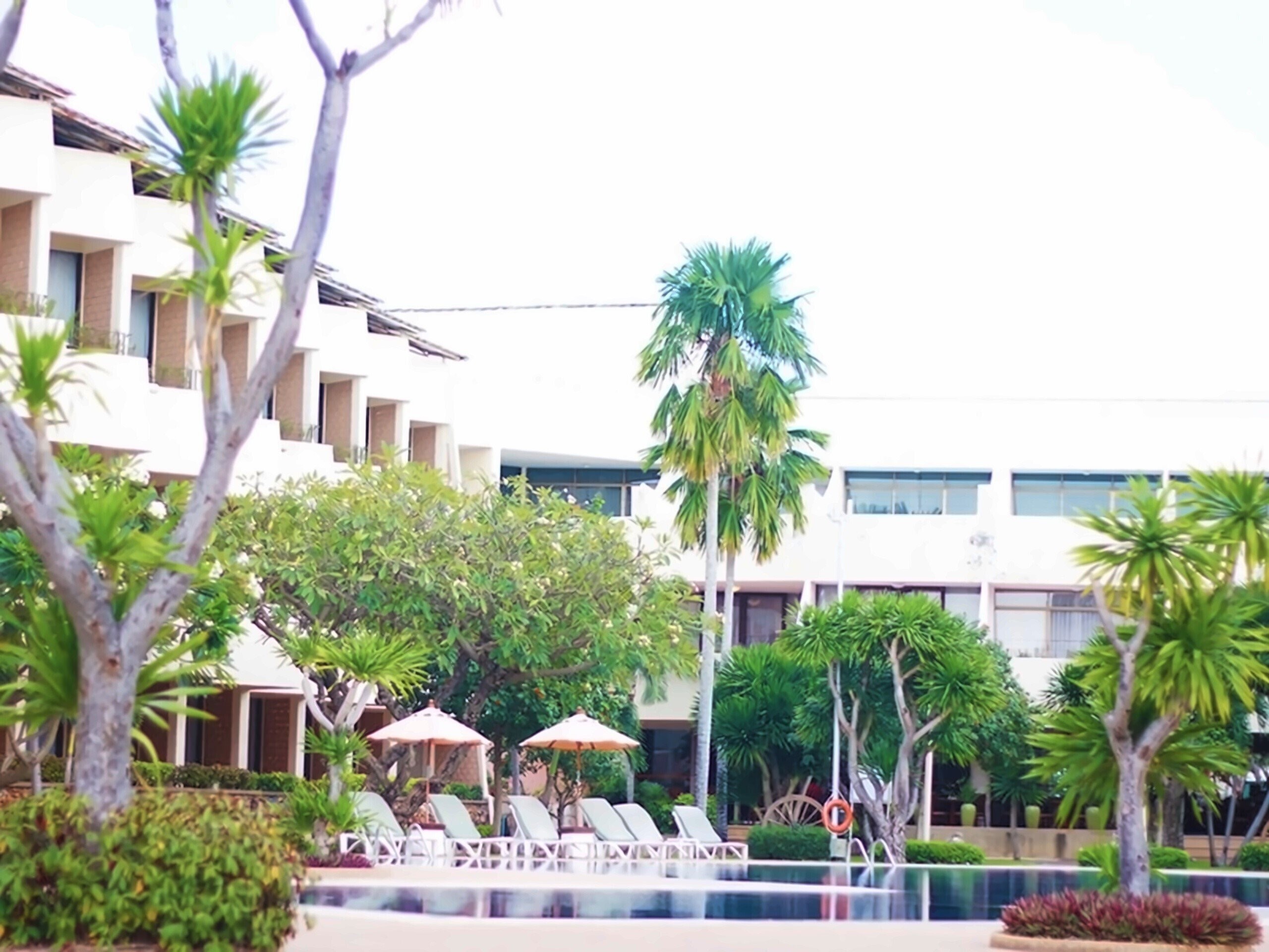 Фотография Tropicana Pattaya 3*