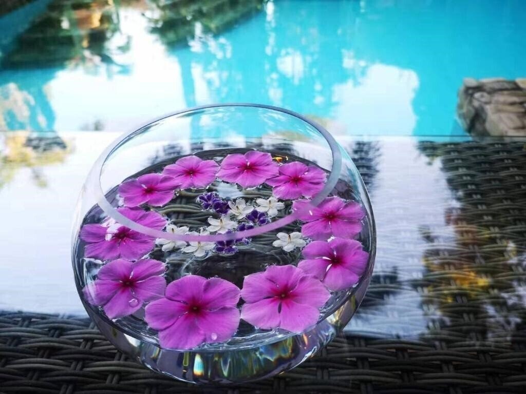 Фотографія Le Prive Resort 3*