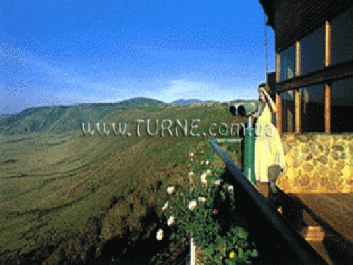 Готель Wildlife Lodges 3*