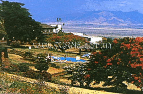 Фотографія Wildlife Lodges 3*