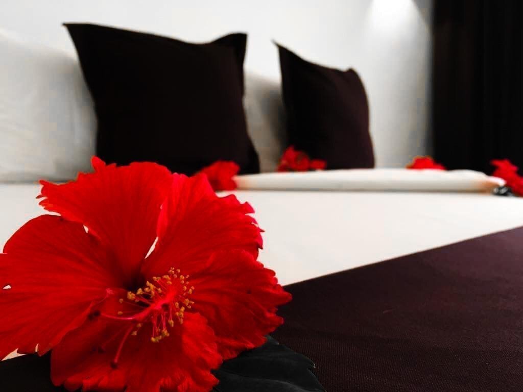 Зображення Blue Moon 4*