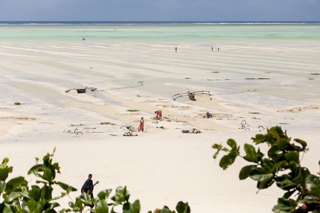 Фотографія Mr. Kahawa Lofts (ex. Mr. Kahawa Lofts) 4*