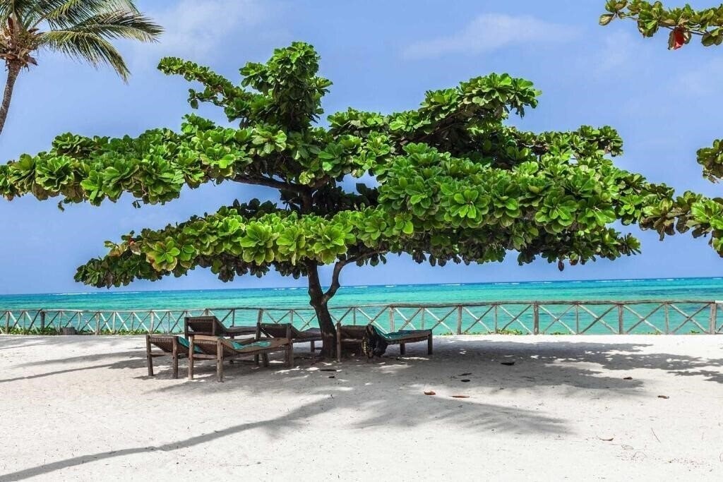 Изображение Vr Club Paje Palms Beach Resort 4*