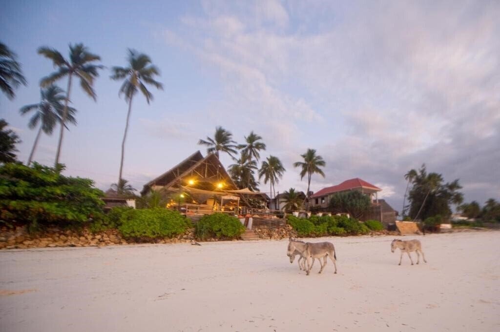 Зображення Villa Kiva 3*