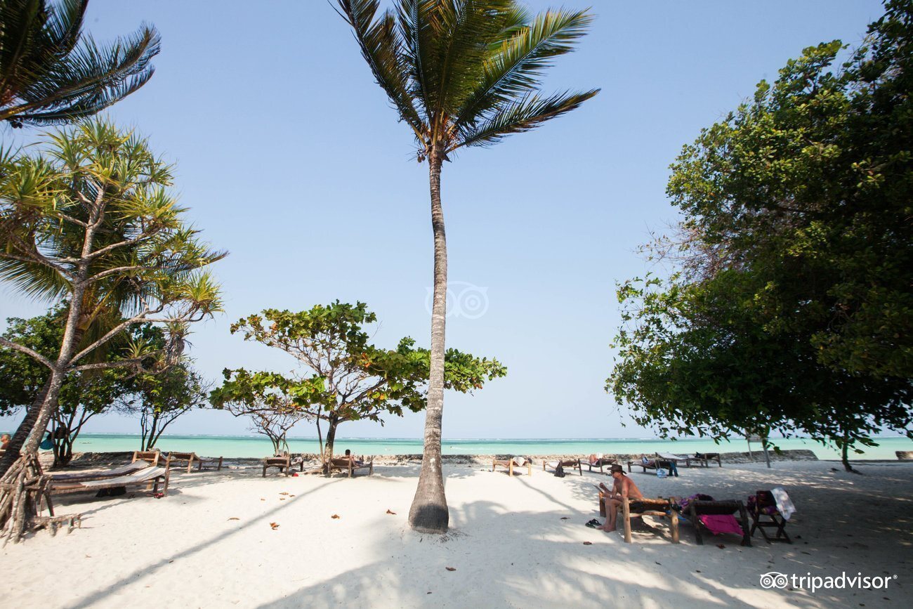 Картинка Diamonds Mapenzi Beach Zanibar 4*