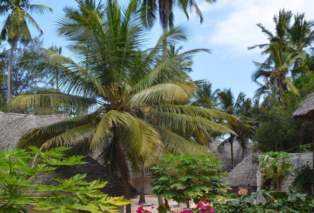 Зображення Coral Reef Resort 3*