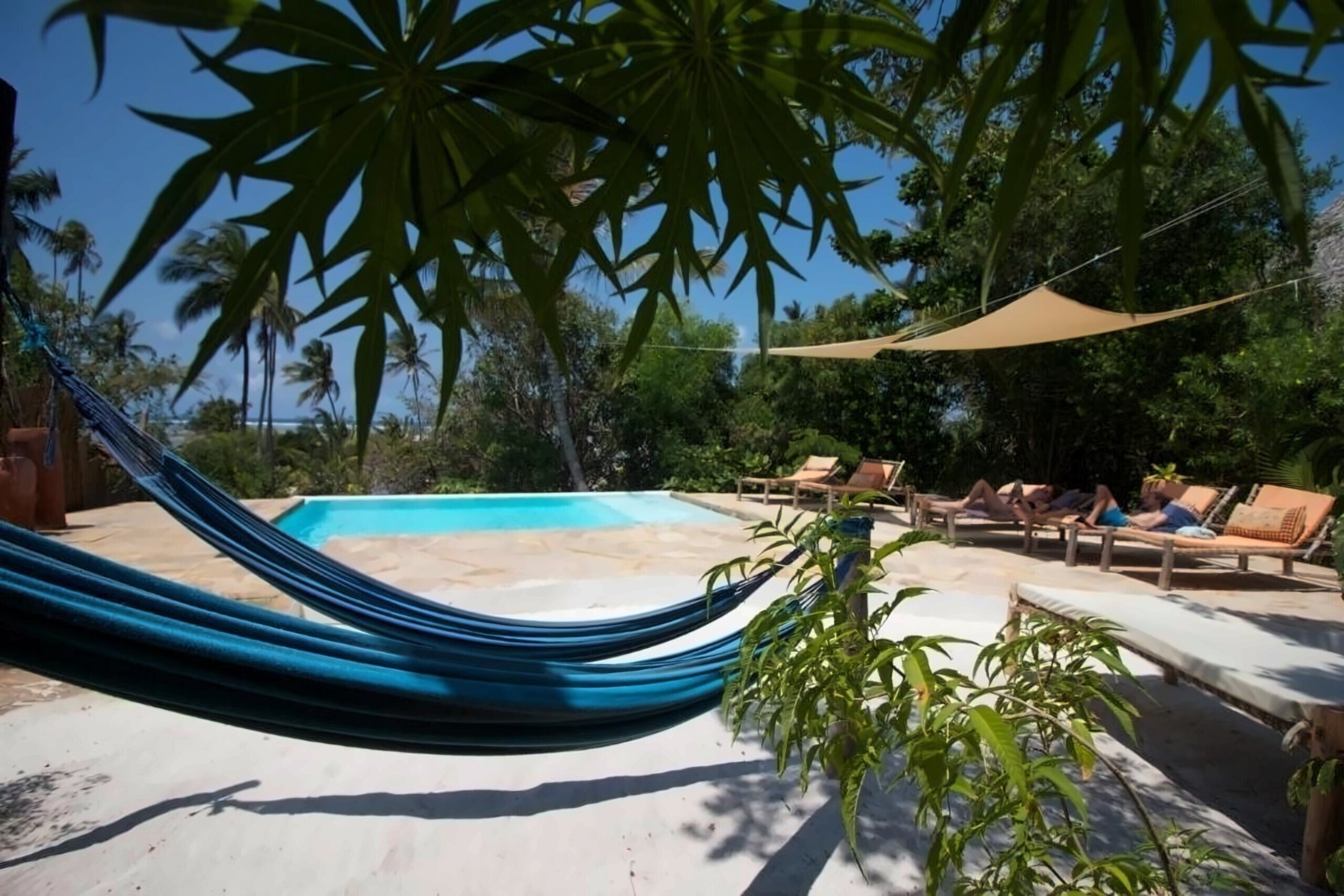 Фотография Bellevue Guesthouse Zanzibar гостиный двор
