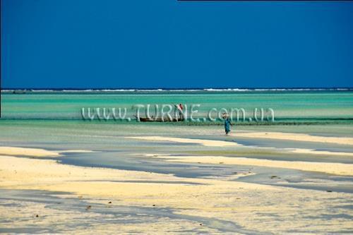 Зображення Bahari View Lodge 2*