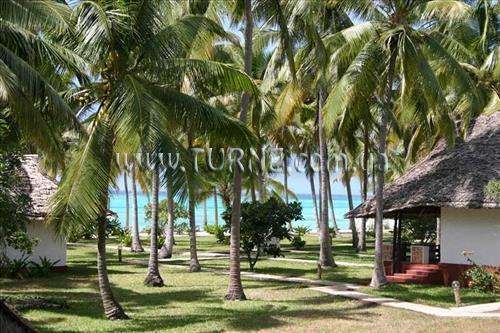 Фото Ras Michamvi Beach Resort 3*