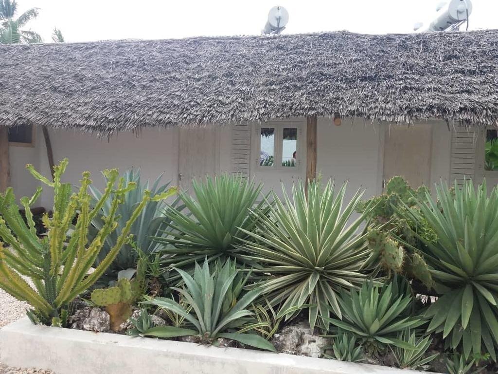 Зображення The Loop Beach Resort 3*