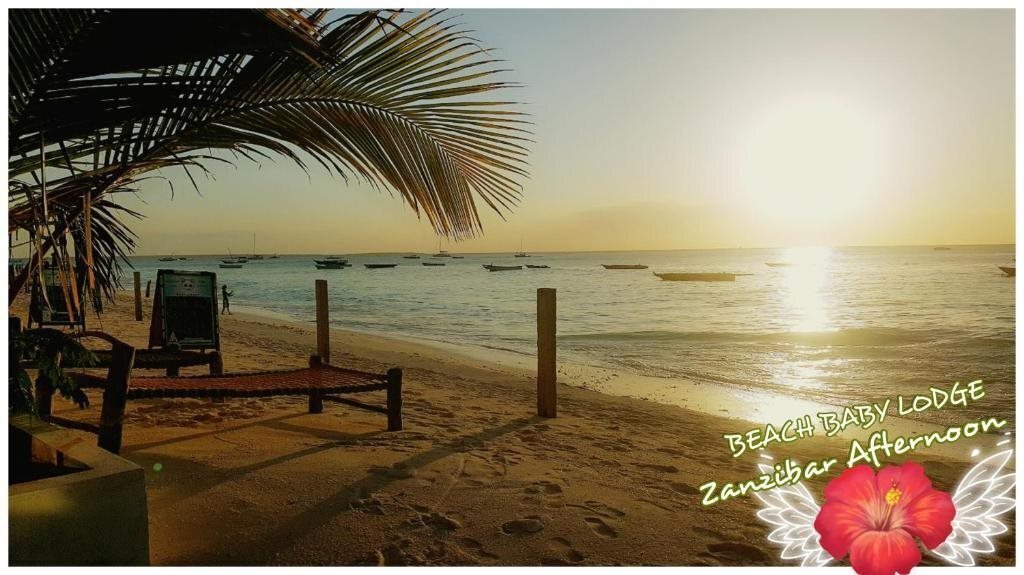 Готель Beach Baby Lodge 3*