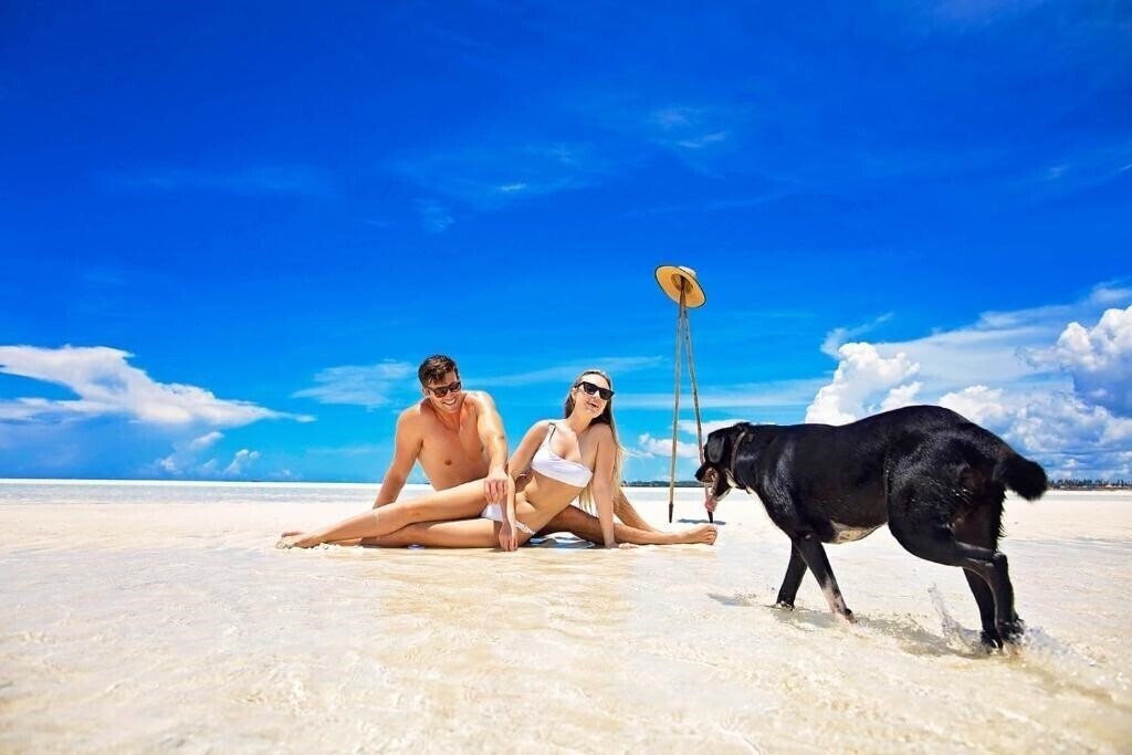 Фотографія The Island Pongwe Lodge 4*