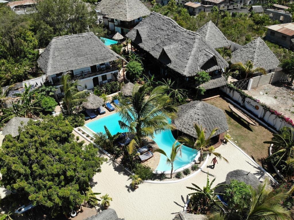 Готель Aluna Nungwi 3*