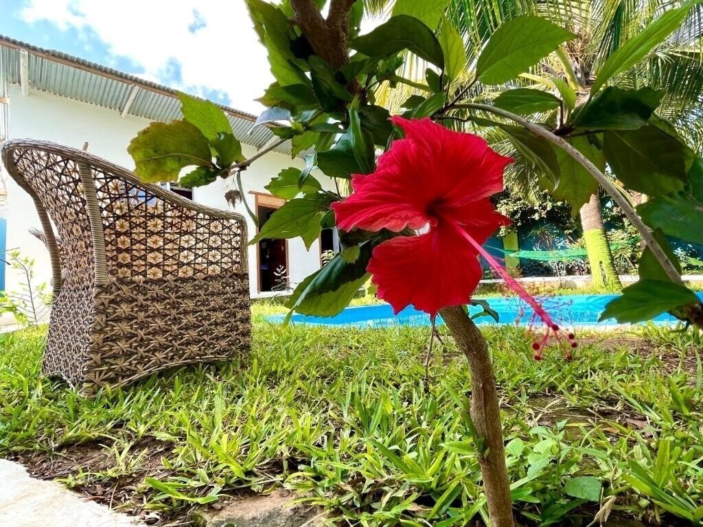 Картинка Green'S Guest House 3*