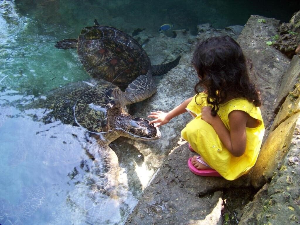 Отель Baraka Aquarium Bungalows 2*
