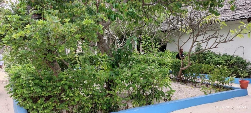 Зображення Oasis Beach Inn 3*