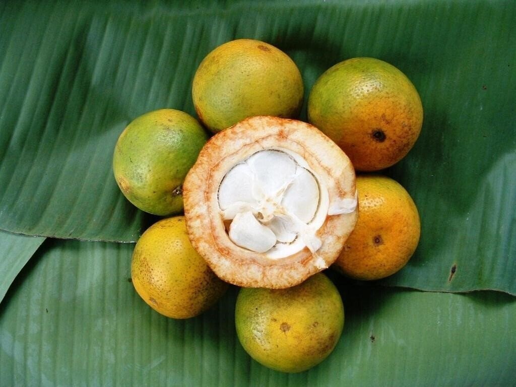 Фото Princess Salme Inn 3*