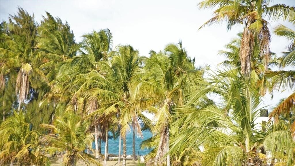 Зображення Paje Blu Boutique Hotel 4*