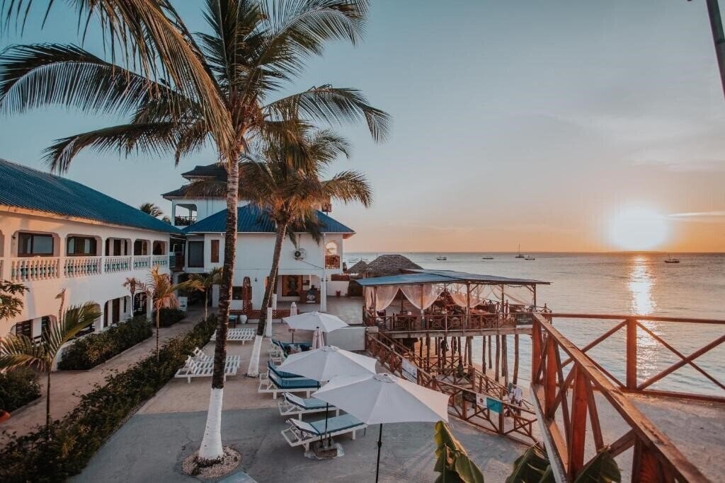 Фото Zenobia Beach Resort (Adult Only 18+) 3*