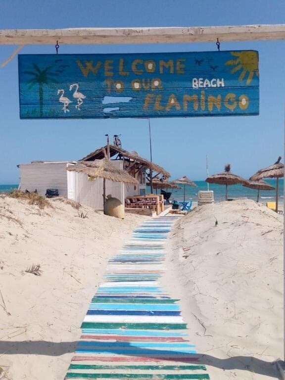 Фото Hotel Flamingo Beach 3*