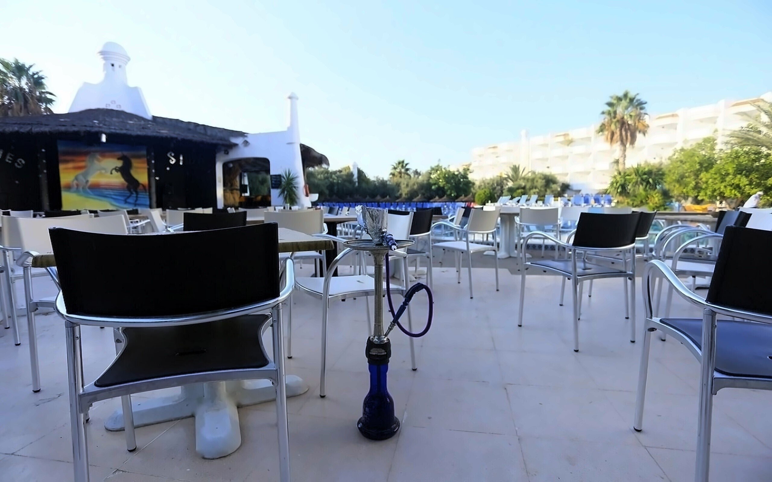 Отель Hammamet Garden Resort 4*
