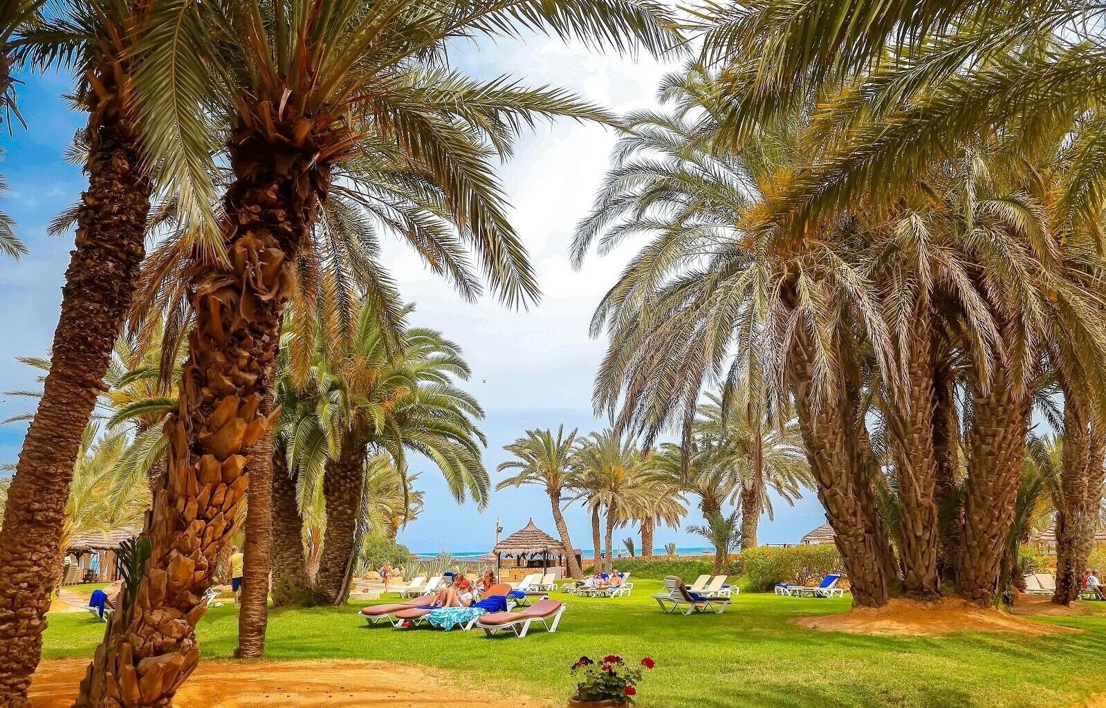 Картинка Hotel Odyssee Resort & Thalasso 4*