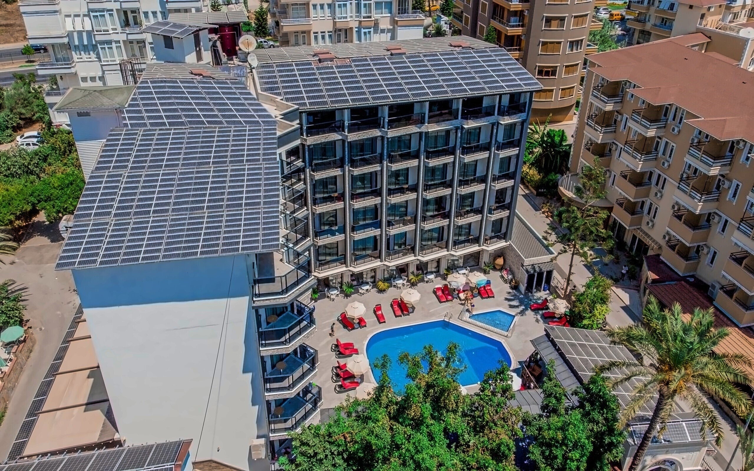 Отель Kleopatra Fatih Hotel 4*