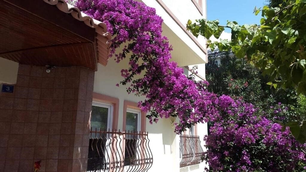 Фото The S Apart & Suites 3*