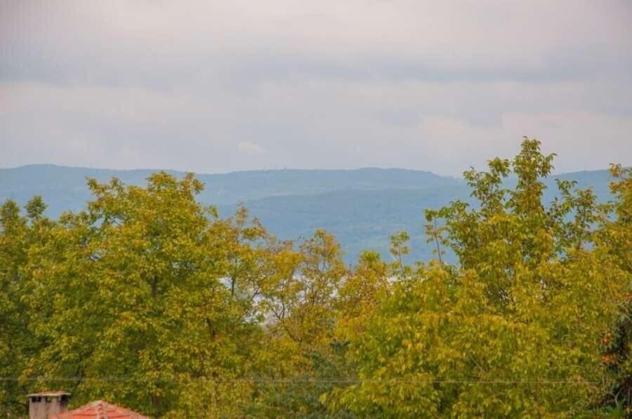 Фотографія Room Room Boutique Hotel Sapanca 3*