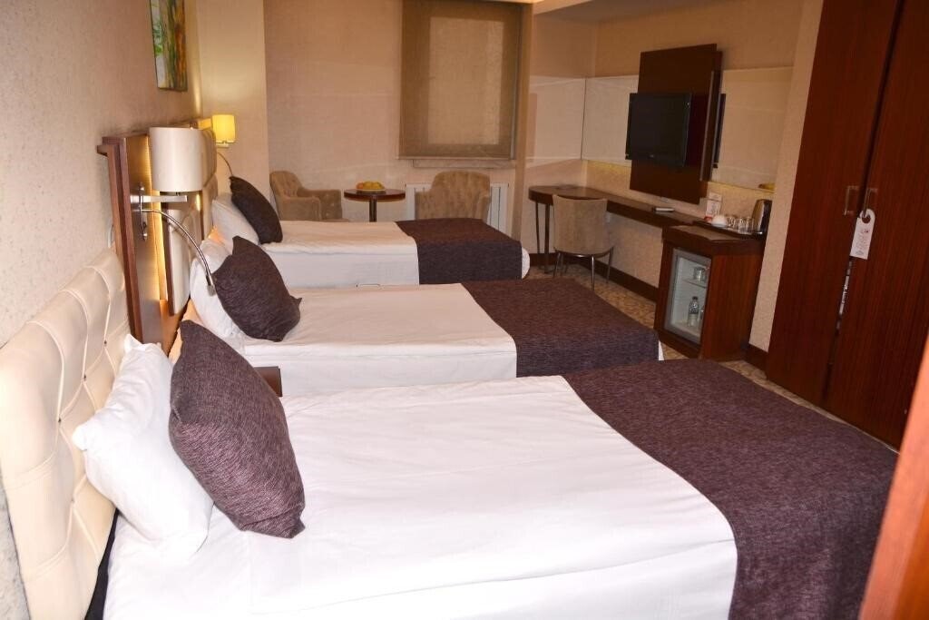 Фотографія Asrin Business Hotel 4*