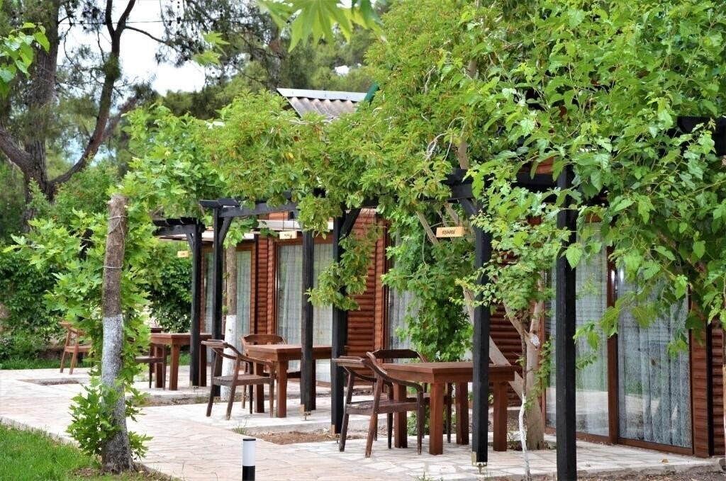Фото Koala Bungalows Olympos 3*