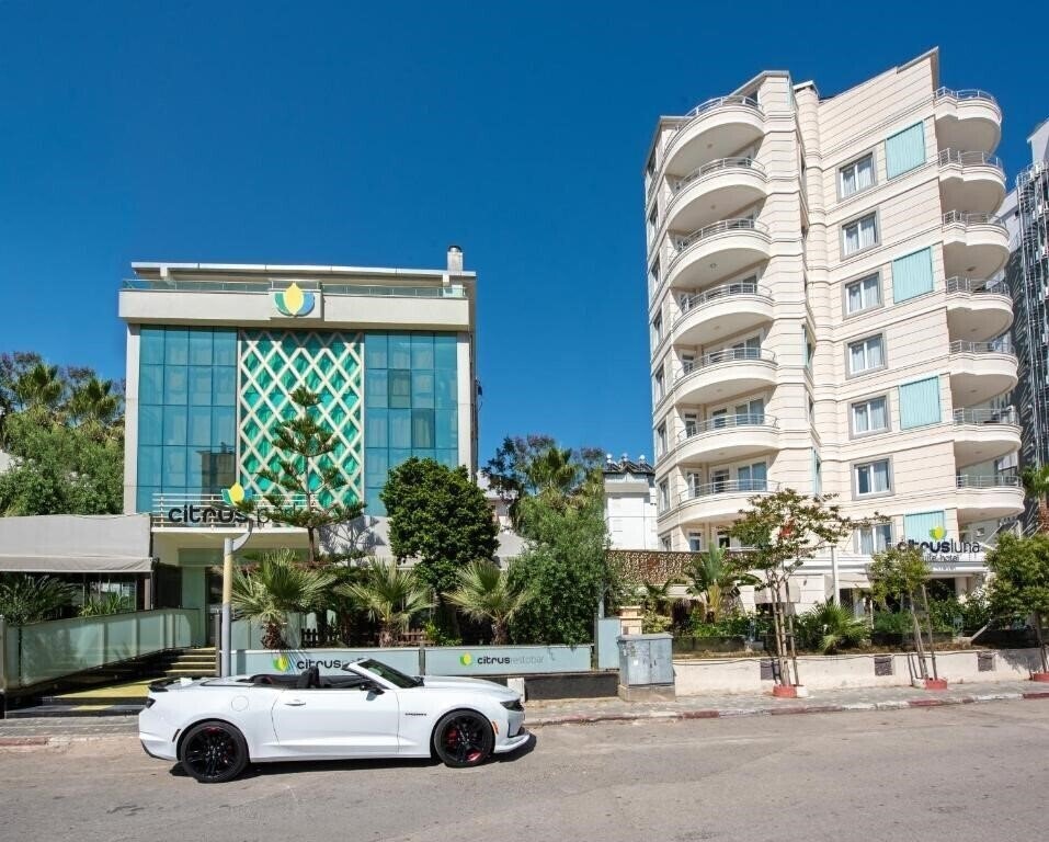Фотография Citrus Park Hotel 4*