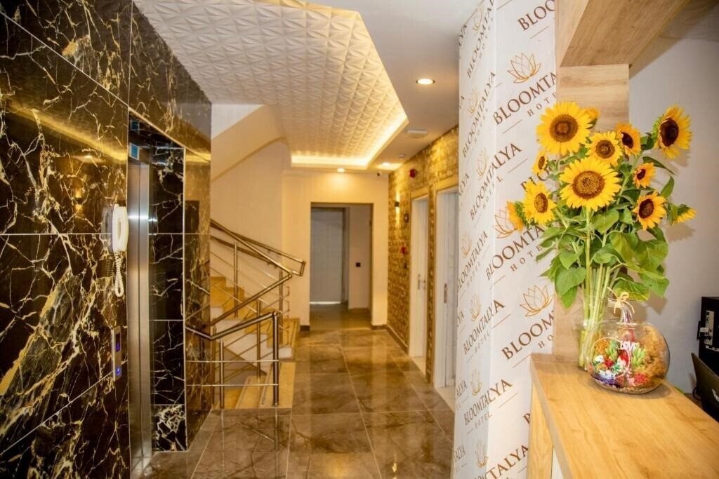 Изображение Bloomtalya Hotel 4*