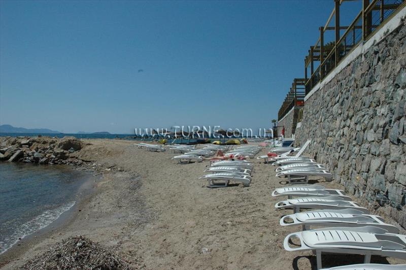 Картинка Cemre 2*