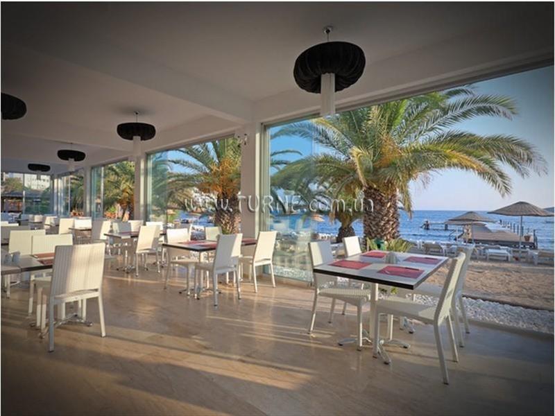 Картинка Princess Artemisia 3*