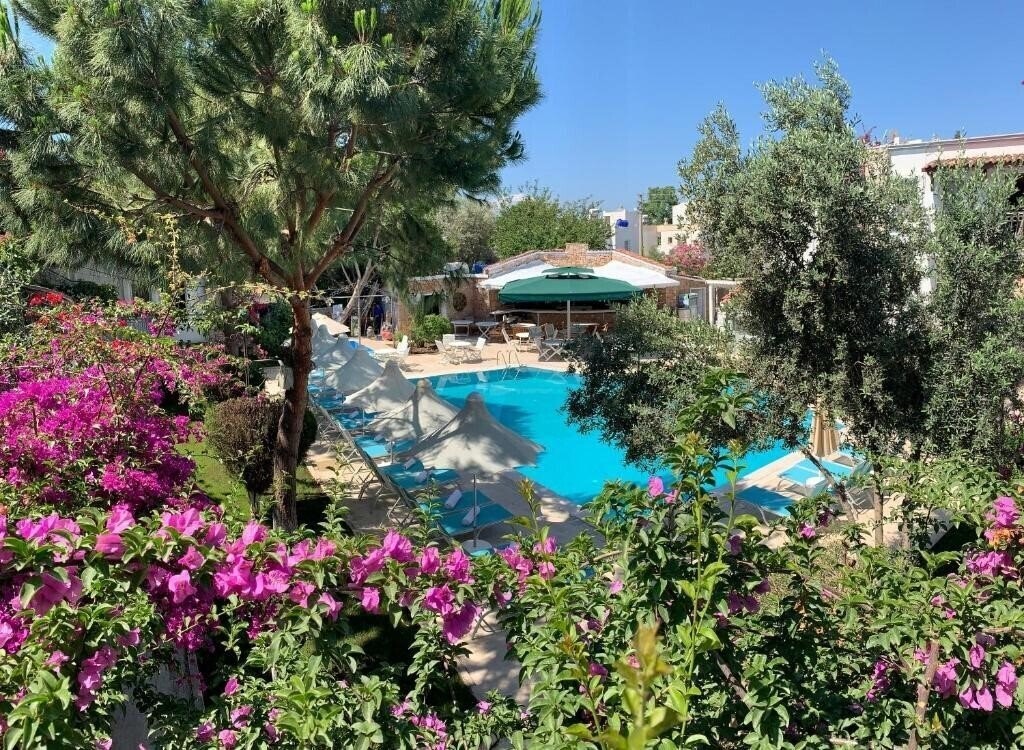 Отель Moonshine Hotel & Suites 3*