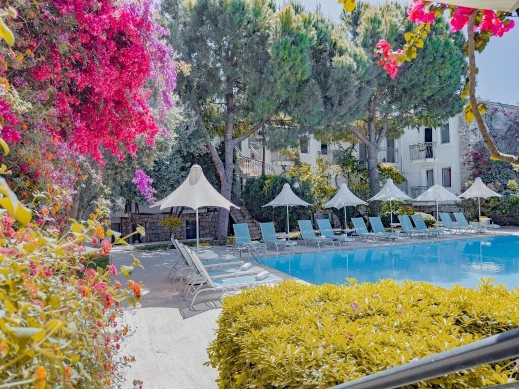 Изображение Moonshine Hotel & Suites 3*
