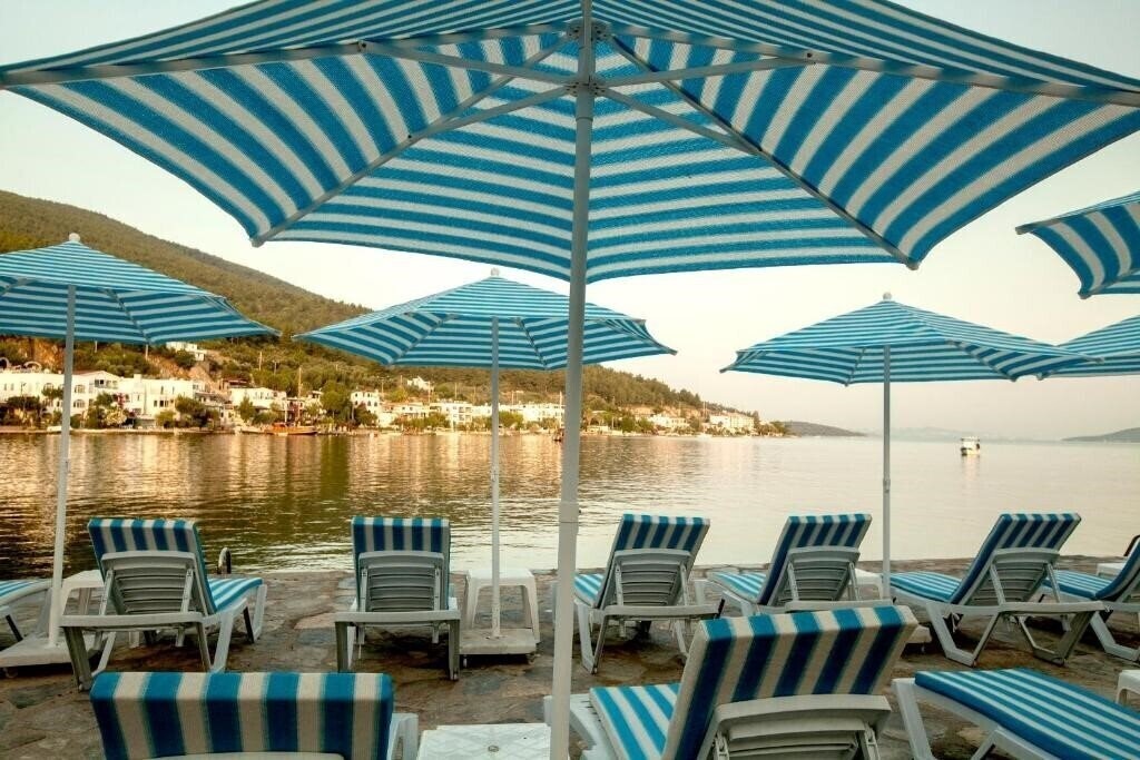 Изображение Zena Hotel Bodrum 5*