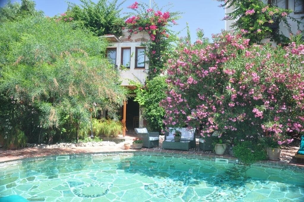 Фотографія El Vino Hotel & Suites 3*