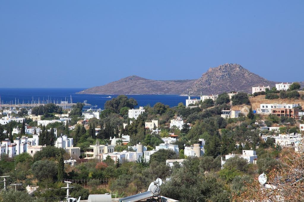 Фотография Sandima 37 Hotel Bodrum 3*