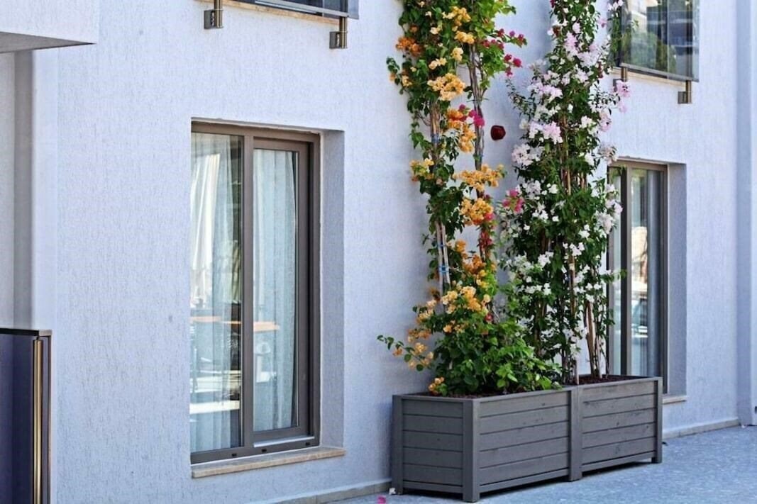 Изображение Time To Smile Mavi Hotel & Residence 4*