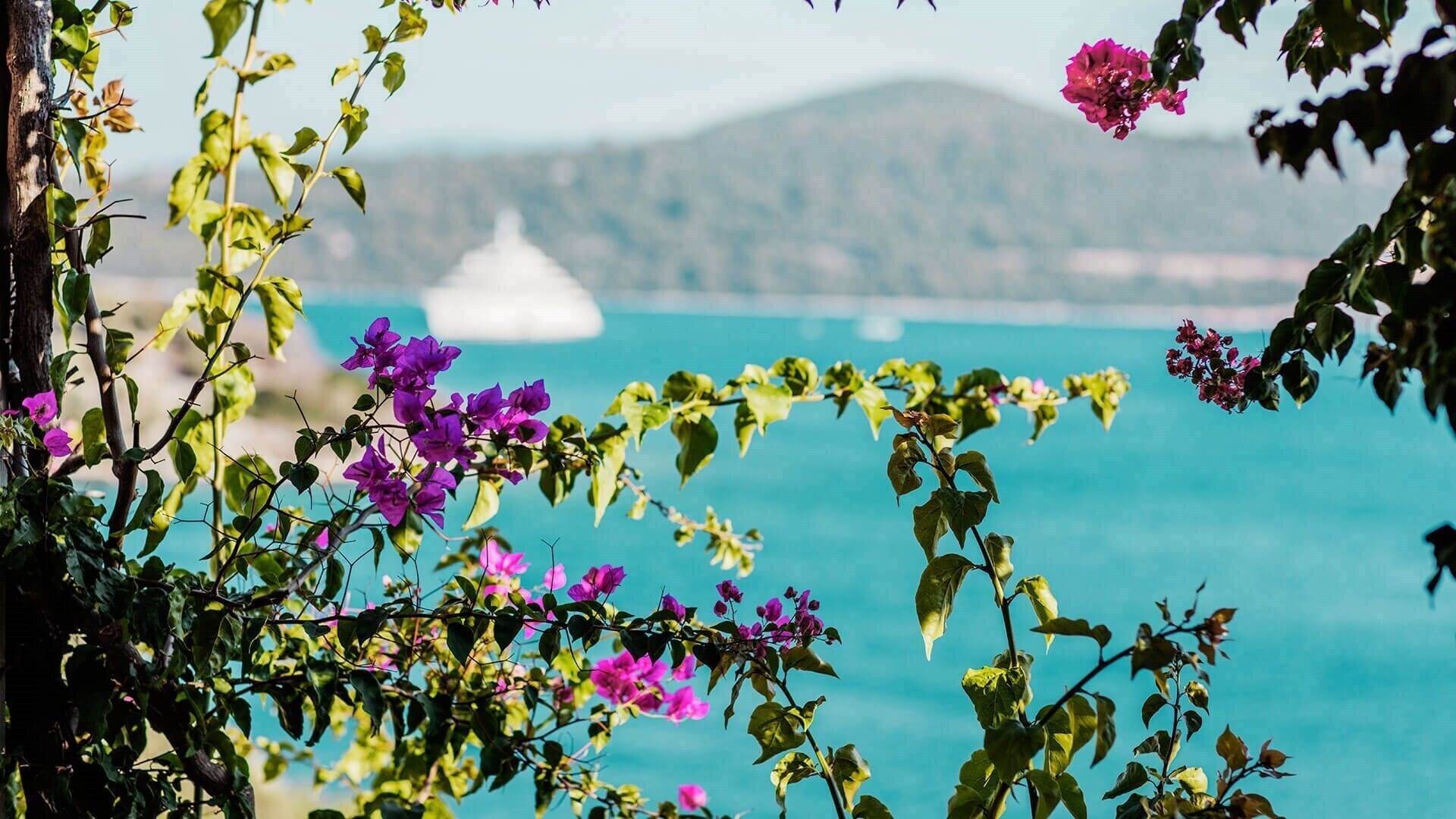 Картинка Macakizi Bodrum 5*