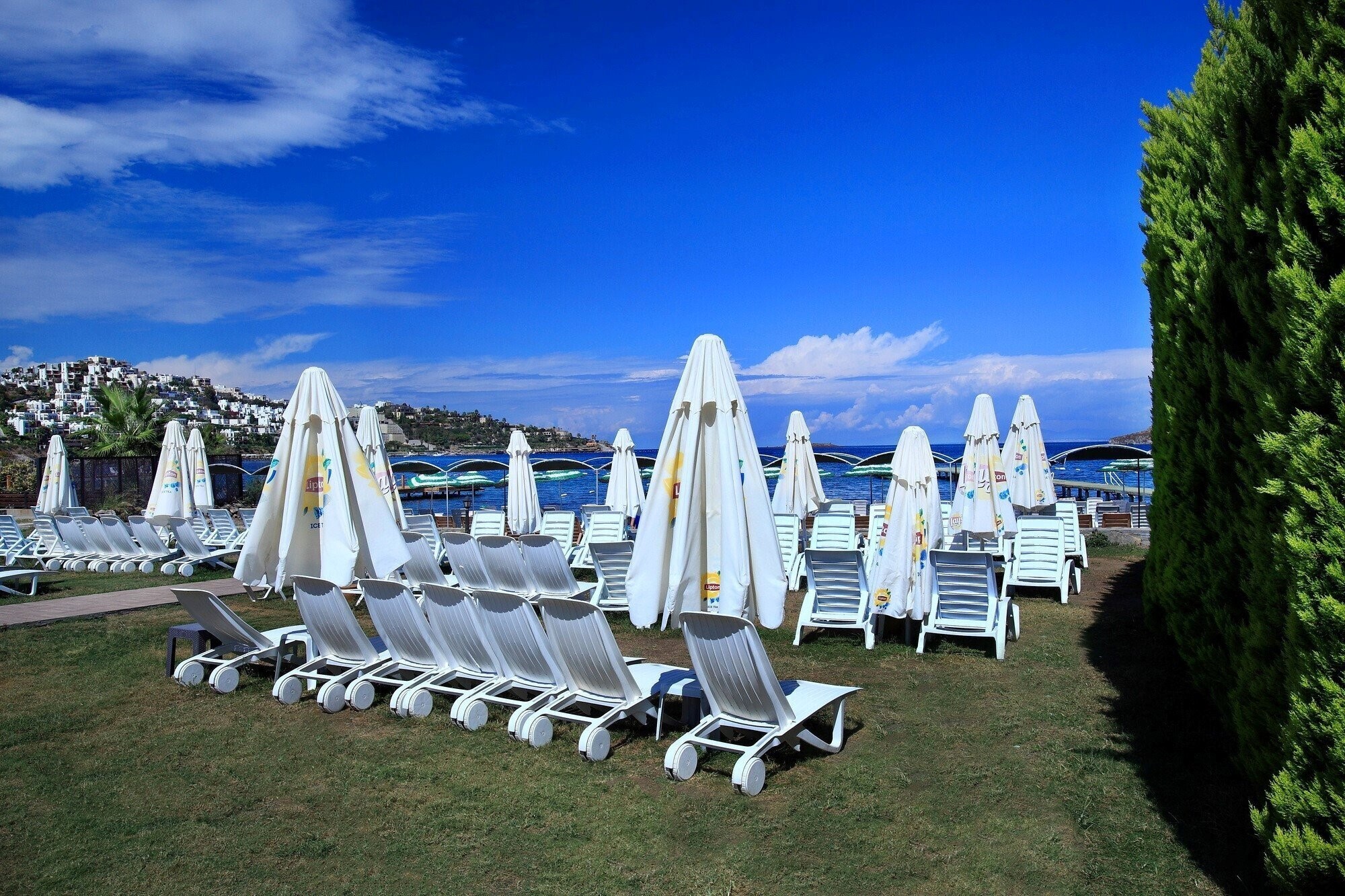 Изображение Cactus Fleur Bay Resort 4*