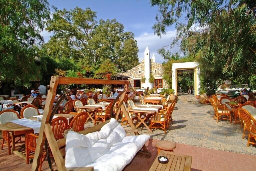 Картинка Okaliptus 4*