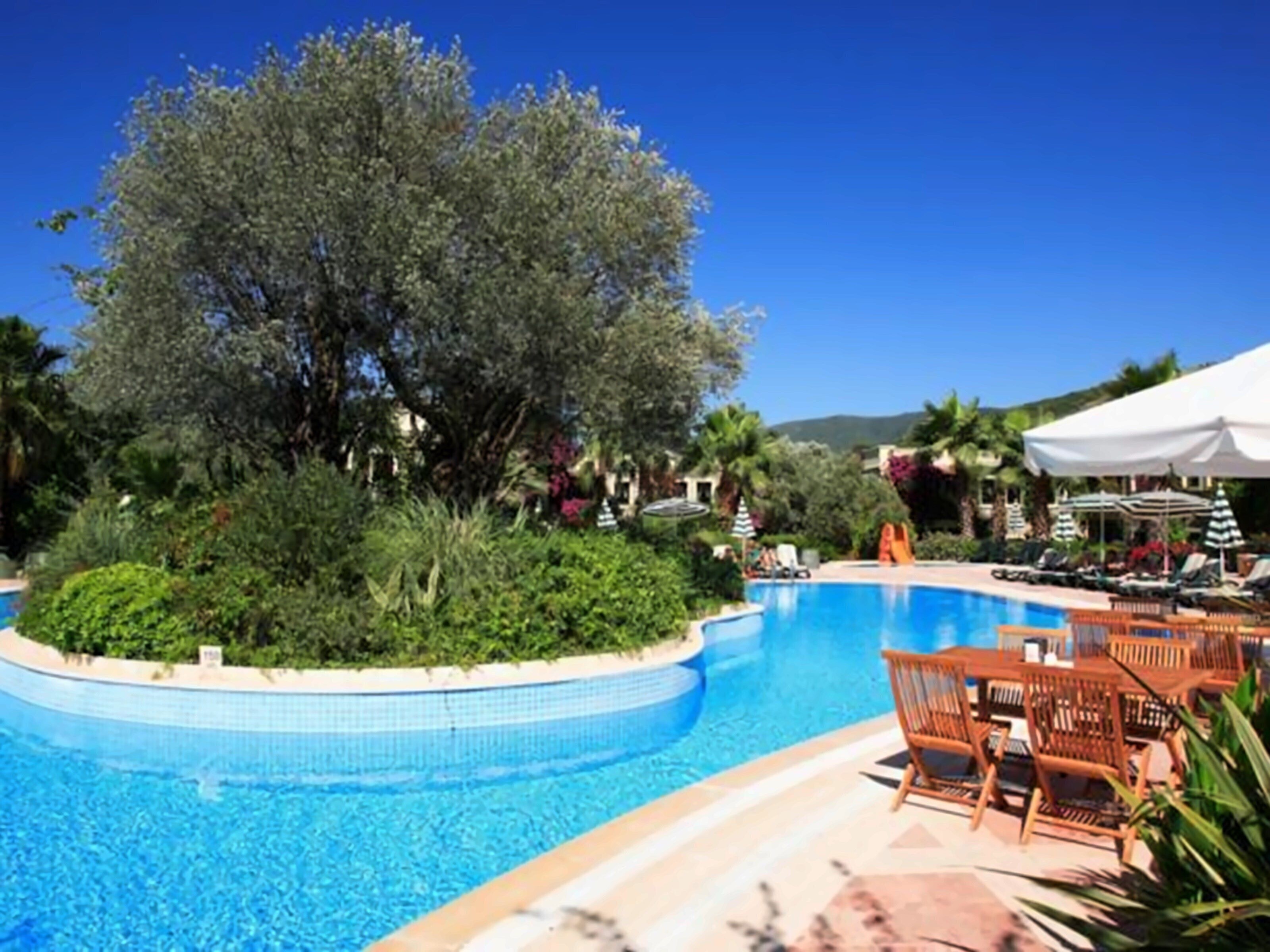 Готель Zeytinada Hotel 4*