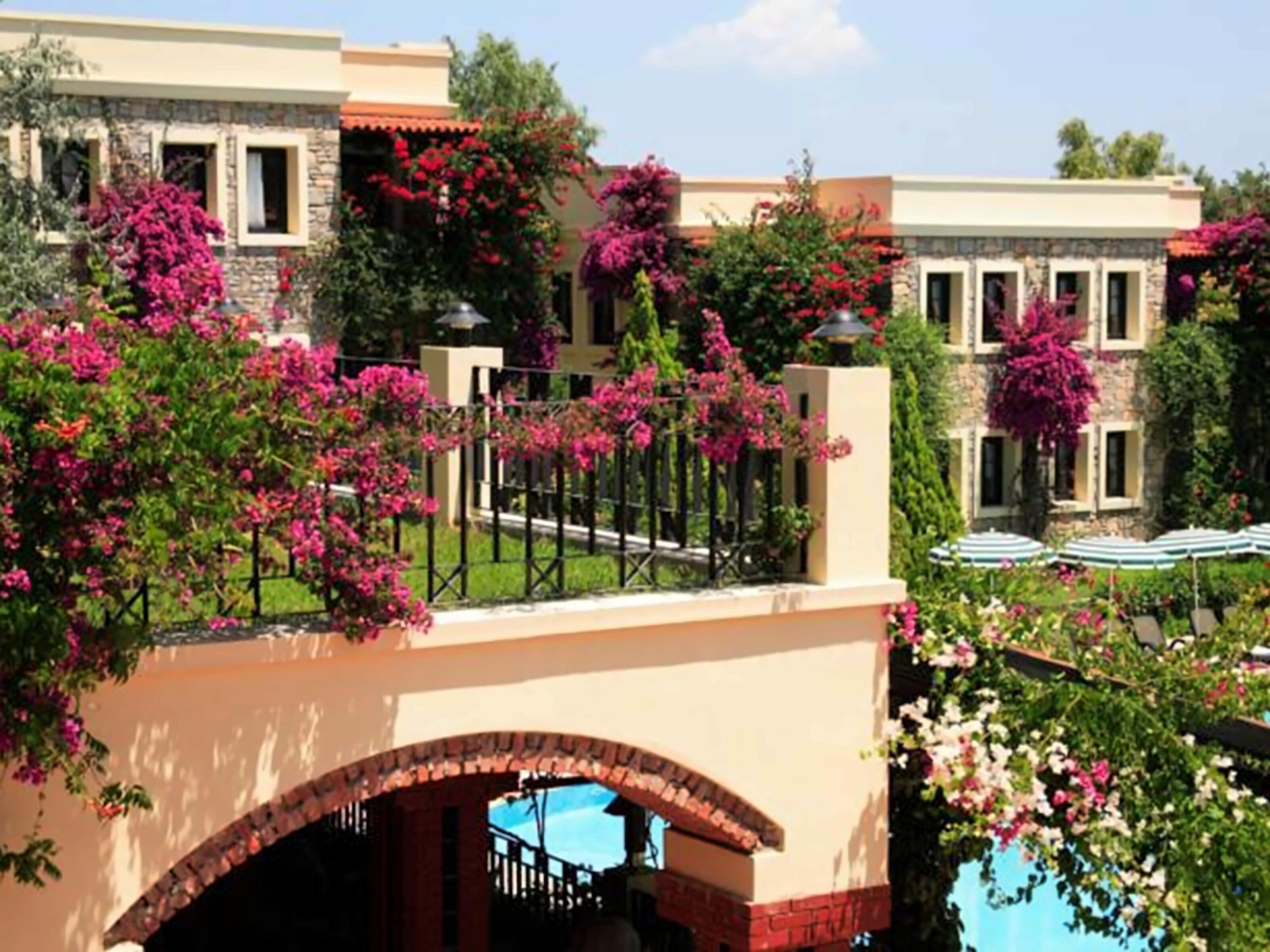 Фотографія Zeytinada Hotel 4*