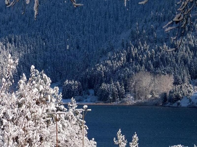 Фотографія Abant Gol Evleri 3*