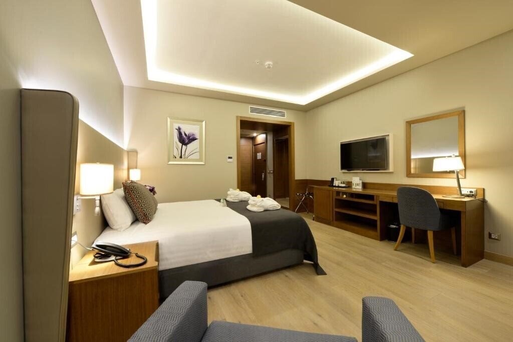 Фотографія Holiday Inn Bursa City Centre by IHG 4*